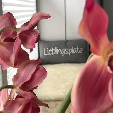 Für Bis Zu Vier Personen Im Historischen Lollfuß Von